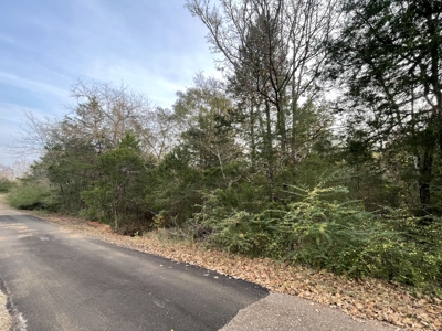Lake Palestine Double lot for sale - image 12