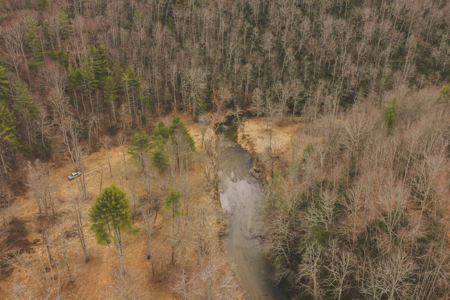 Acreage for Sale on Little Reed Island Creek - image 7