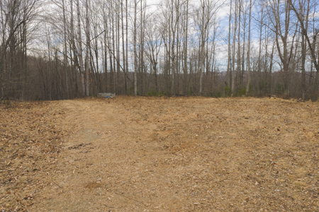 Acreage for Sale on Little Reed Island Creek - image 21