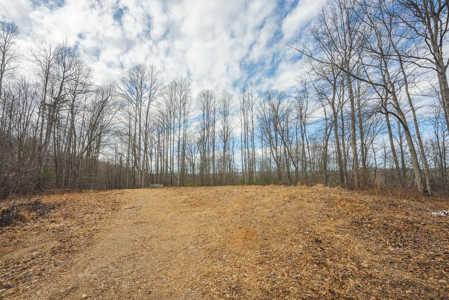 Acreage for Sale on Little Reed Island Creek - image 43
