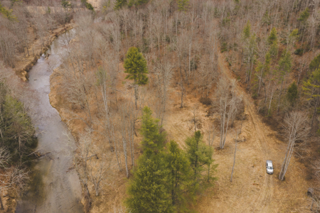 Acreage for Sale on Little Reed Island Creek - image 6