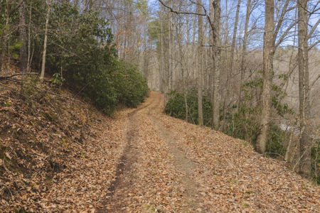 Acreage for Sale on Little Reed Island Creek - image 28