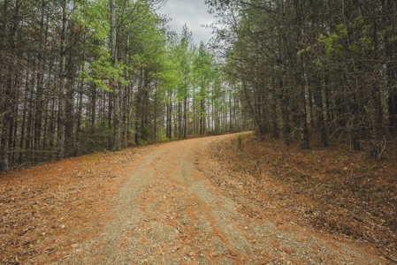 Acreage for Sale on Little Reed Island Creek - image 46