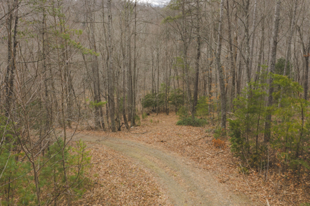 Acreage for Sale on Little Reed Island Creek - image 18