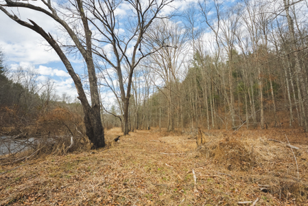 Acreage for Sale on Little Reed Island Creek - image 39