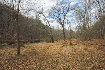 Acreage for Sale on Little Reed Island Creek - image 36