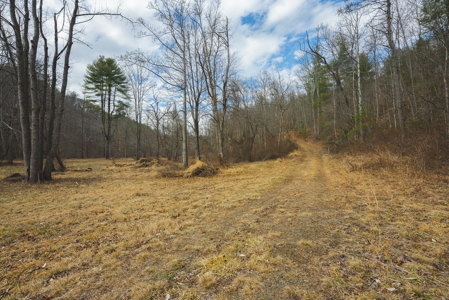 Acreage for Sale on Little Reed Island Creek - image 32