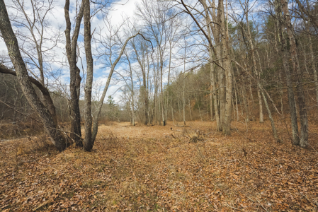 Acreage for Sale on Little Reed Island Creek - image 41