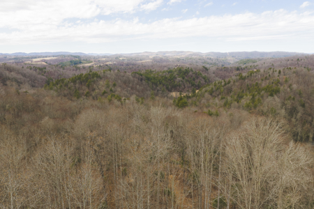 Acreage for Sale on Little Reed Island Creek - image 22