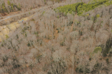 Acreage for Sale on Little Reed Island Creek - image 25