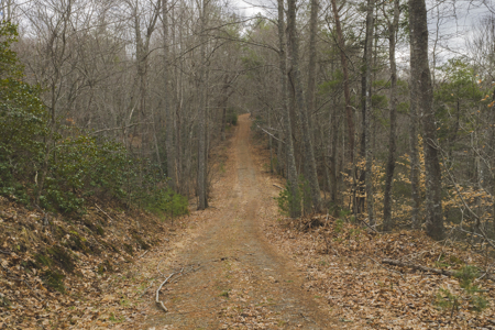 Acreage for Sale on Little Reed Island Creek - image 19