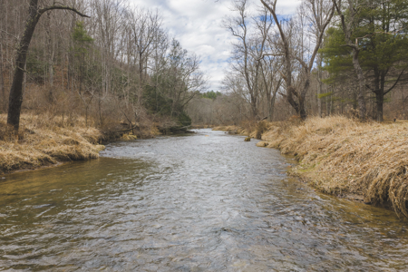 Acreage for Sale on Little Reed Island Creek - image 16