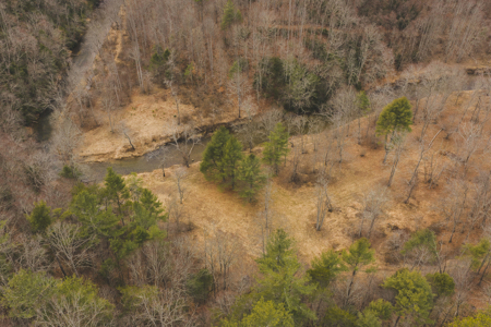 Acreage for Sale on Little Reed Island Creek - image 9