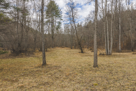 Acreage for Sale on Little Reed Island Creek - image 11