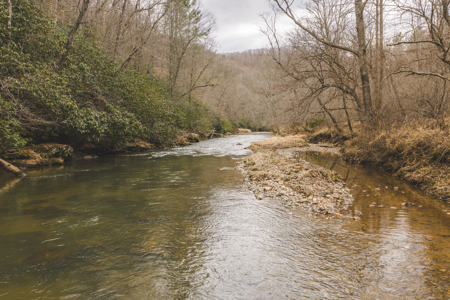 Acreage for Sale on Little Reed Island Creek - image 2