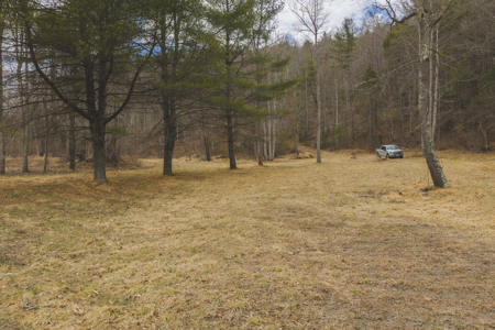 Acreage for Sale on Little Reed Island Creek - image 15