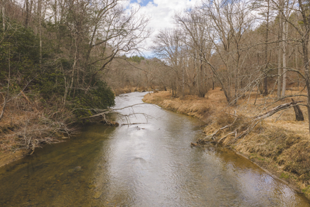 Acreage for Sale on Little Reed Island Creek - image 3