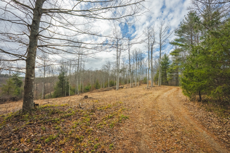 Acreage for Sale on Little Reed Island Creek - image 44