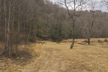 Acreage for Sale on Little Reed Island Creek - image 10