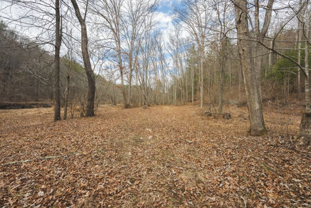 Acreage for Sale on Little Reed Island Creek - image 35