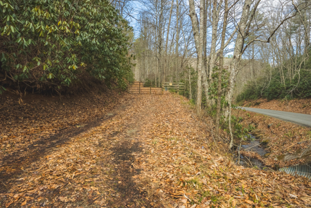 Acreage for Sale on Little Reed Island Creek - image 47