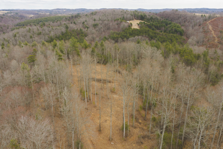 Acreage for Sale on Little Reed Island Creek - image 23