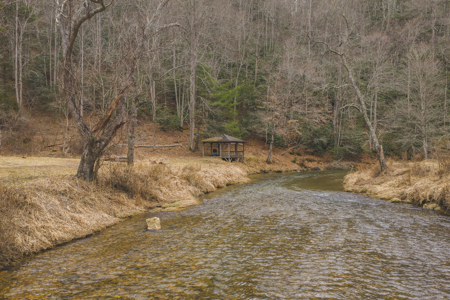Acreage for Sale on Little Reed Island Creek - image 4