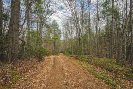 Acreage for Sale on Little Reed Island Creek - image 45