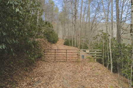 Acreage for Sale on Little Reed Island Creek - image 29