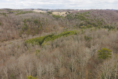 Acreage for Sale on Little Reed Island Creek - image 24