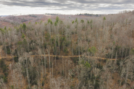 Acreage for Sale on Little Reed Island Creek - image 27