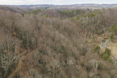 Acreage for Sale on Little Reed Island Creek - image 26