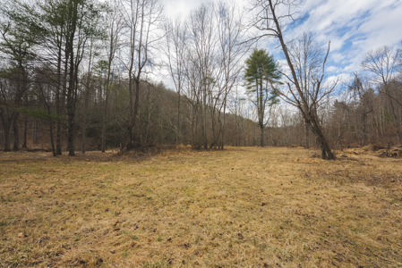 Acreage for Sale on Little Reed Island Creek - image 34