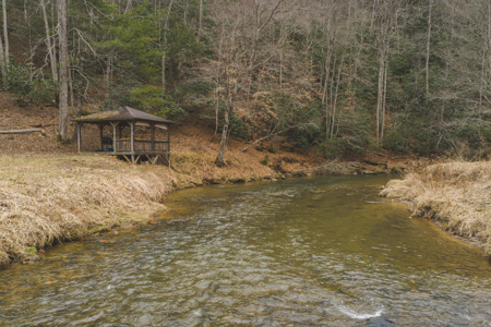 Acreage for Sale on Little Reed Island Creek - image 5