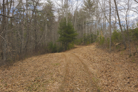 Acreage for Sale on Little Reed Island Creek - image 20