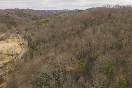 Acreage for Sale on Little Reed Island Creek - image 8