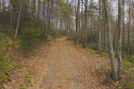 Acreage for Sale on Little Reed Island Creek - image 17
