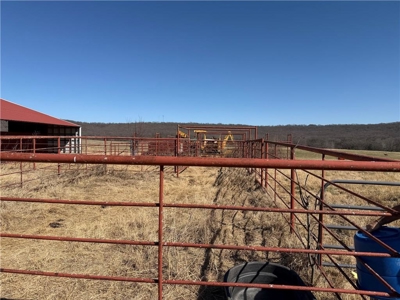 Private Ozark Estate with Spring-Fed Creek & Cattle Operation - image 15