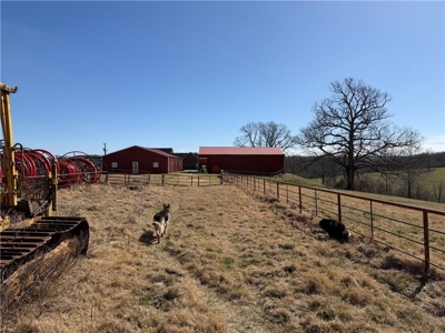 Private Ozark Estate with Spring-Fed Creek & Cattle Operation - image 16