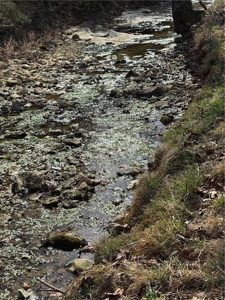 Private Ozark Estate with Spring-Fed Creek & Cattle Operation - image 24