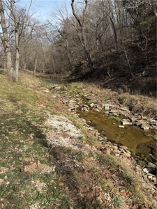Private Ozark Estate with Spring-Fed Creek & Cattle Operation - image 22