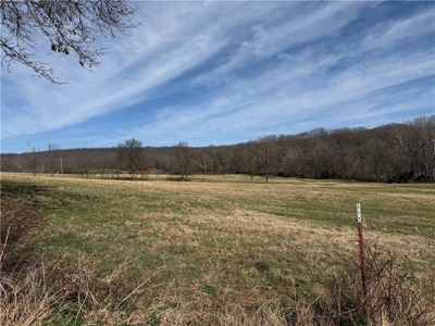 Private Ozark Estate with Spring-Fed Creek & Cattle Operation - image 20