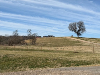 Private Ozark Estate with Spring-Fed Creek & Cattle Operation - image 3