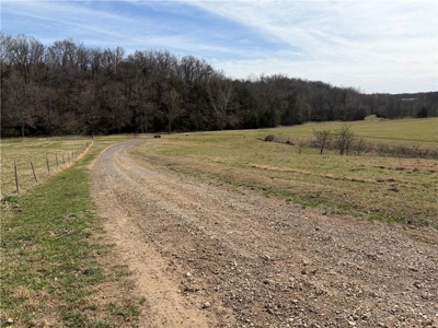 Private Ozark Estate with Spring-Fed Creek & Cattle Operation - image 21