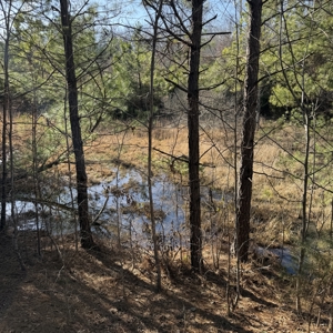 Commercial acreage and land for sale in Spartanburg SC - image 21