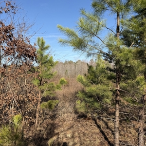 Commercial acreage and land for sale in Spartanburg SC - image 4
