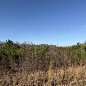 Commercial acreage and land for sale in Spartanburg SC - image 10
