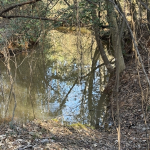 Commercial acreage and land for sale in Spartanburg SC - image 16
