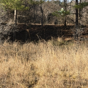 Commercial acreage and land for sale in Spartanburg SC - image 19