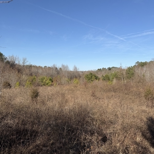 Commercial acreage and land for sale in Spartanburg SC - image 5
